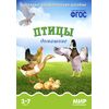 ФГОС Мир в картинках - Птицы домашние