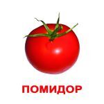 Демонстрационный материал для детского сада