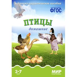 ФГОС Мир в картинках - Птицы домашние