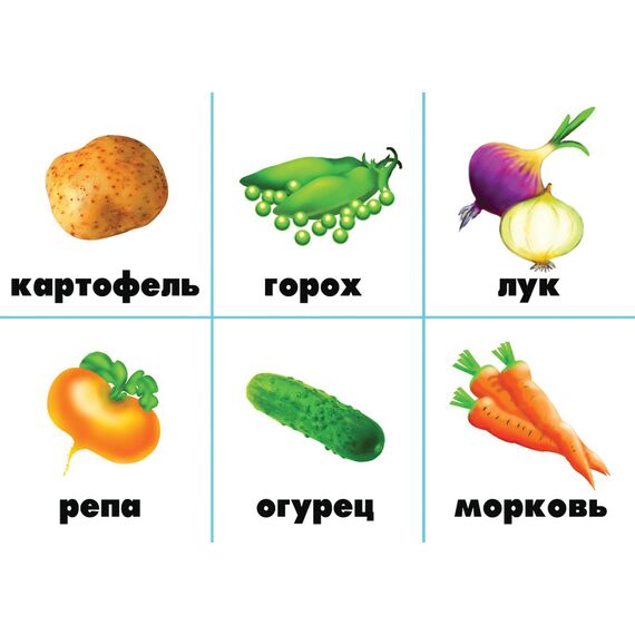 Лото ОВОЩНОЕ