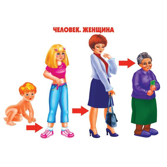 Игра КАК РАСТЕТ ЖИВОЕ