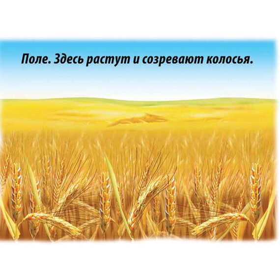 Демонстрационный материал ХЛЕБ ВСЕМУ ГОЛОВА