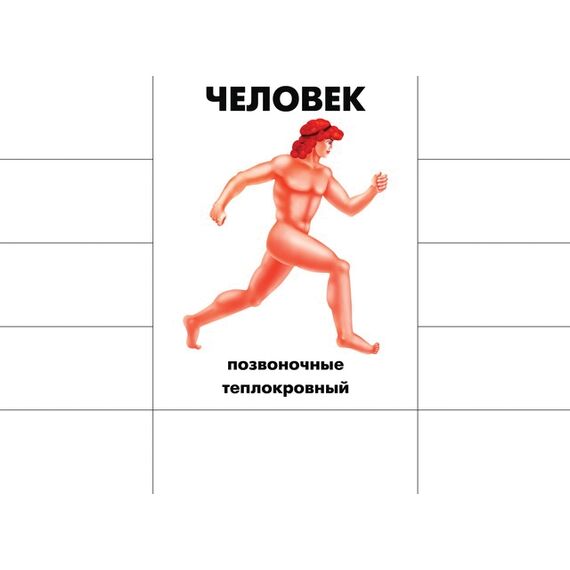 Игра-лото "Кто как устроен"