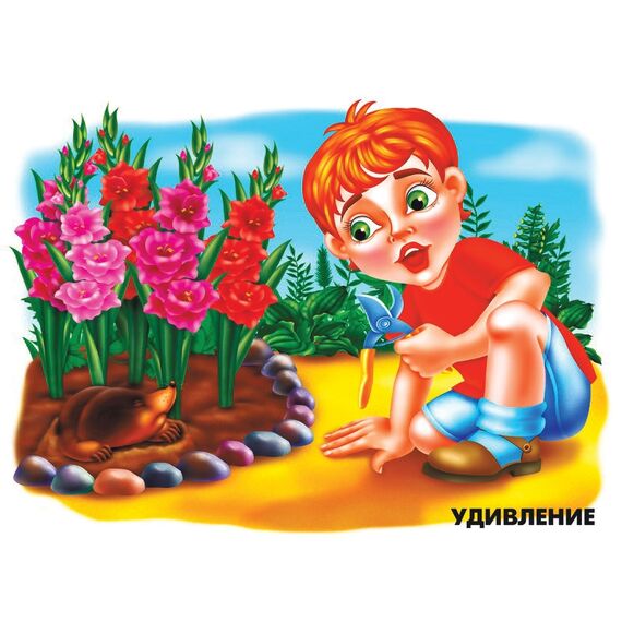 Демонстрационный материал "Наши чувства и эмоции"